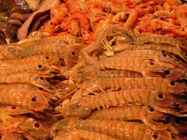 andtheseareshrimp.jpg