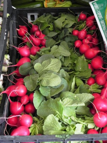 freshradishes.jpg