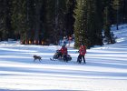 DSC05542  The ski patrol and doggie off and running.