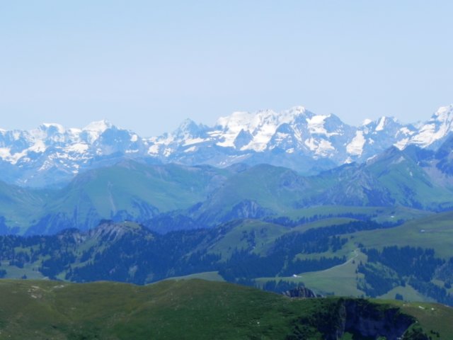 panoramav.jpg