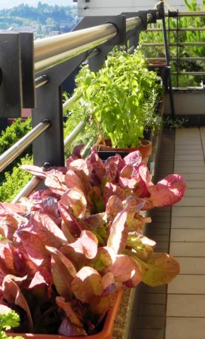 balconygardeningatrgb.jpg