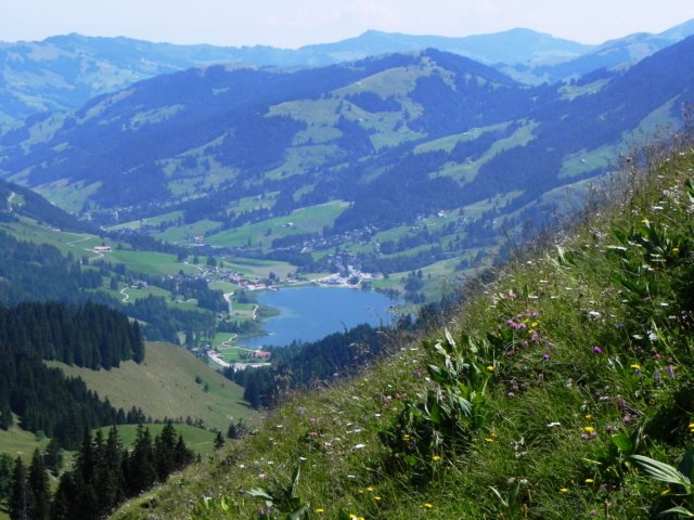 theviewfromhalfwayuponschwartzsee.jpg