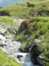 streamsandrhododendrononthebistinepass_small.jpg