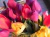 tulipsfromthegarden2_small.jpg