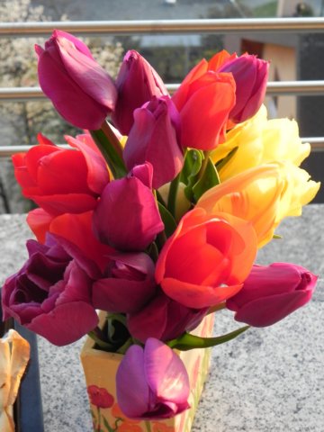 tulipsfromthegarden3.jpg