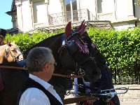 DSC05754  Nikki pointed out the crochetted horse ear bonnets