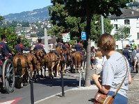 DSC05757  hanging out wondering what&#39;s going to happen next