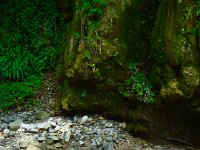 DSC05830  Nikki dips her feet in the cool creek