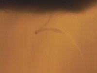 DSCN8683  as long as it doesn&#39;t touch down, we are safe