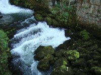 DSC05868  the river Loue