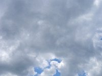 DSCN8692  Notre Dame des Anges