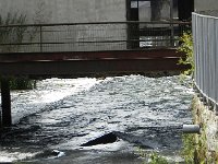 DSCN8716  La Loue arrives in Ornans