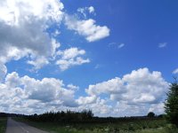 DSCN8756  like paintings