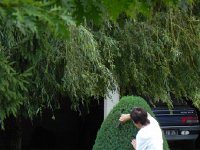 DSCN8761  someone cares