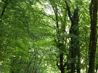 DSCN8766  the road continues