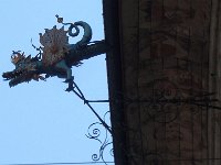 DSC05881  dragon close up