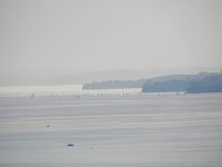 DSCN9150  Regatta off of Morges