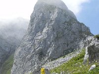 DSCN9139  Crag and corn lilly