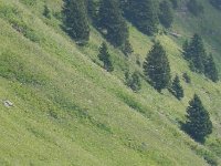 DSCN9142  Le Grammont is a very popular hike