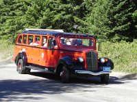 DSCN8852  These old timey buses were very popular as were the free shuttle passes that ran along the Going-to-the-Sun Highway.