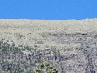 DSCN8865  treeline ecotones are very evident, unlike the Alps