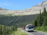 DSCN8872  shuttle and treeline