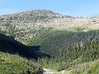 DSCN8875  Siyeh Creek