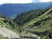 DSCN8877  Siyeh Creek descending over steps