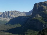 DSCN8892  Shadows and forest