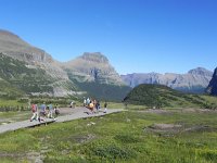 DSCN8897  The vegetation would otherwise have been hammered