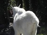 DSCN8912  and resplendent!