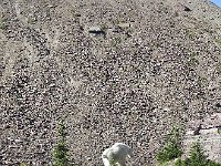 DSCN8914  He ambled away from all us people