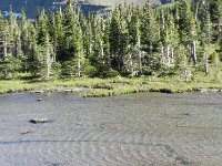 DSCN8916  Ripples from the wind