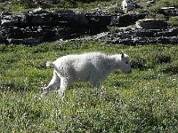 DSCN8929  There were some babies!