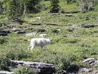 DSCN8930  a great landscape for a kid