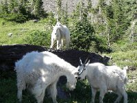 DSCN8941  kids and mothers