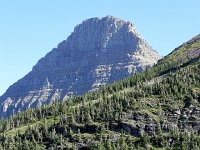 DSCN8946  more treeline