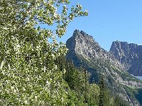 DSCN8962  The wind in the trees