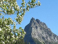 DSCN8963  It sounded like marbles poured on a concrete floor