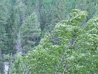 DSCN8973  and the wind howled up the canyon