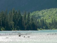 DSCN8999  Water and trees