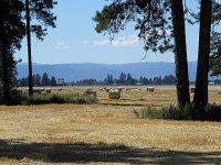 DSCN9021  Flathead valley is good ag land