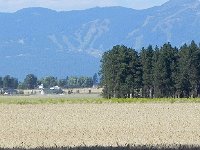 DSCN9024  Wheat and Whitefish Mountain
