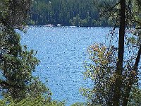 DSCN9064  like green fireworks