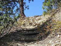 DSCN9071  Improved trail