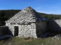 DSCN1001  shadows and light