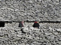 DSCN1014  through which poems appear