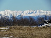 DSCN1034  Zooming in