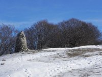 DSCN1035  around us there was snow