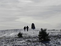 DSCN1045  into the light